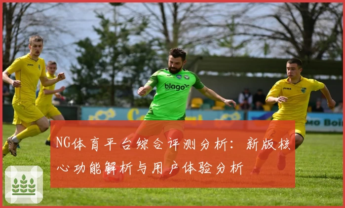 NG体育平台综合评测分析：新版核心功能解析与用户体验分析