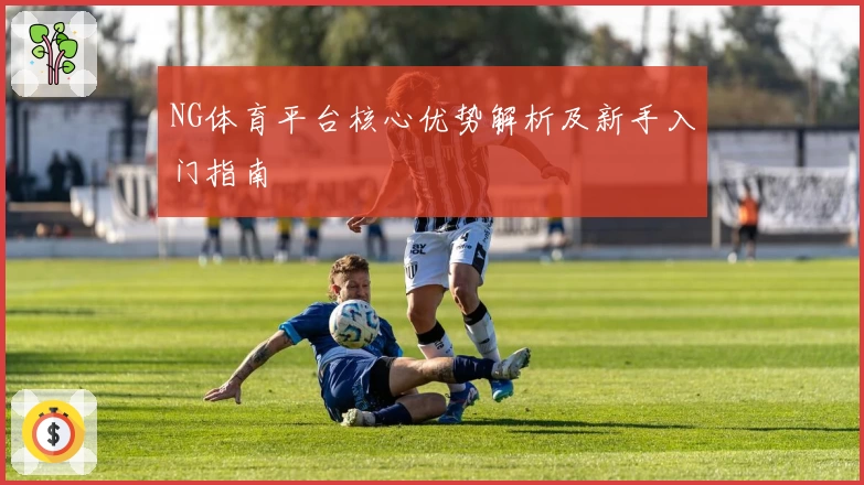 NG体育平台核心优势解析及新手入门指南