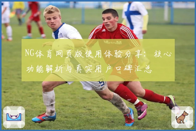 NG体育网页版使用体验分享：核心功能解析与真实用户口碑汇总