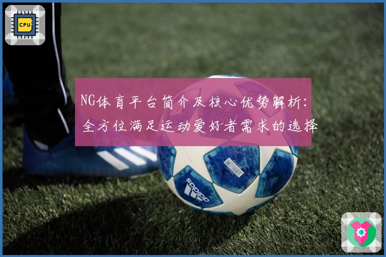 NG体育平台简介及核心优势解析：全方位满足运动爱好者需求的选择
